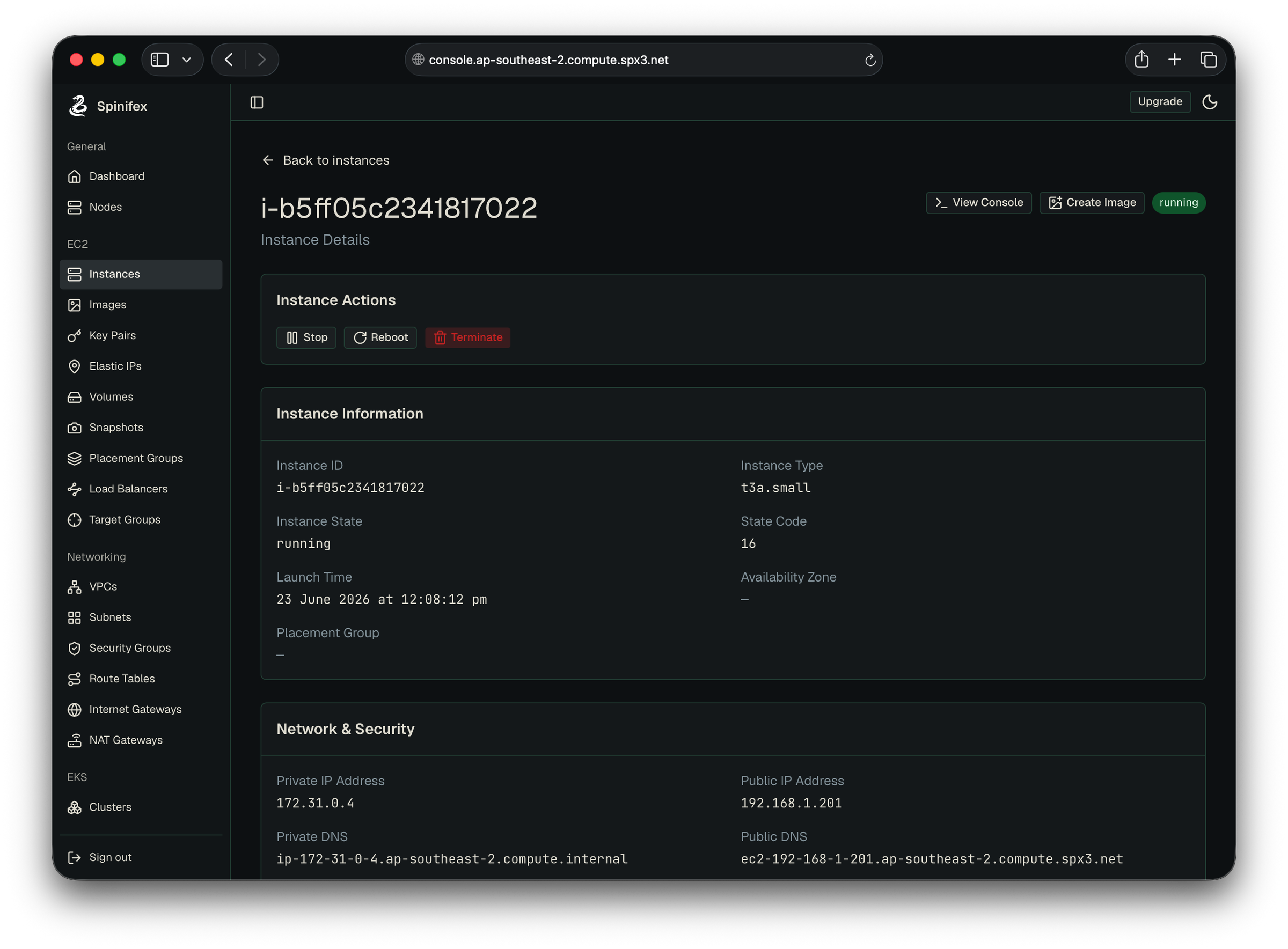 Spinifex console showing EC2 instance detail running on a self-hosted Spinifex cloud