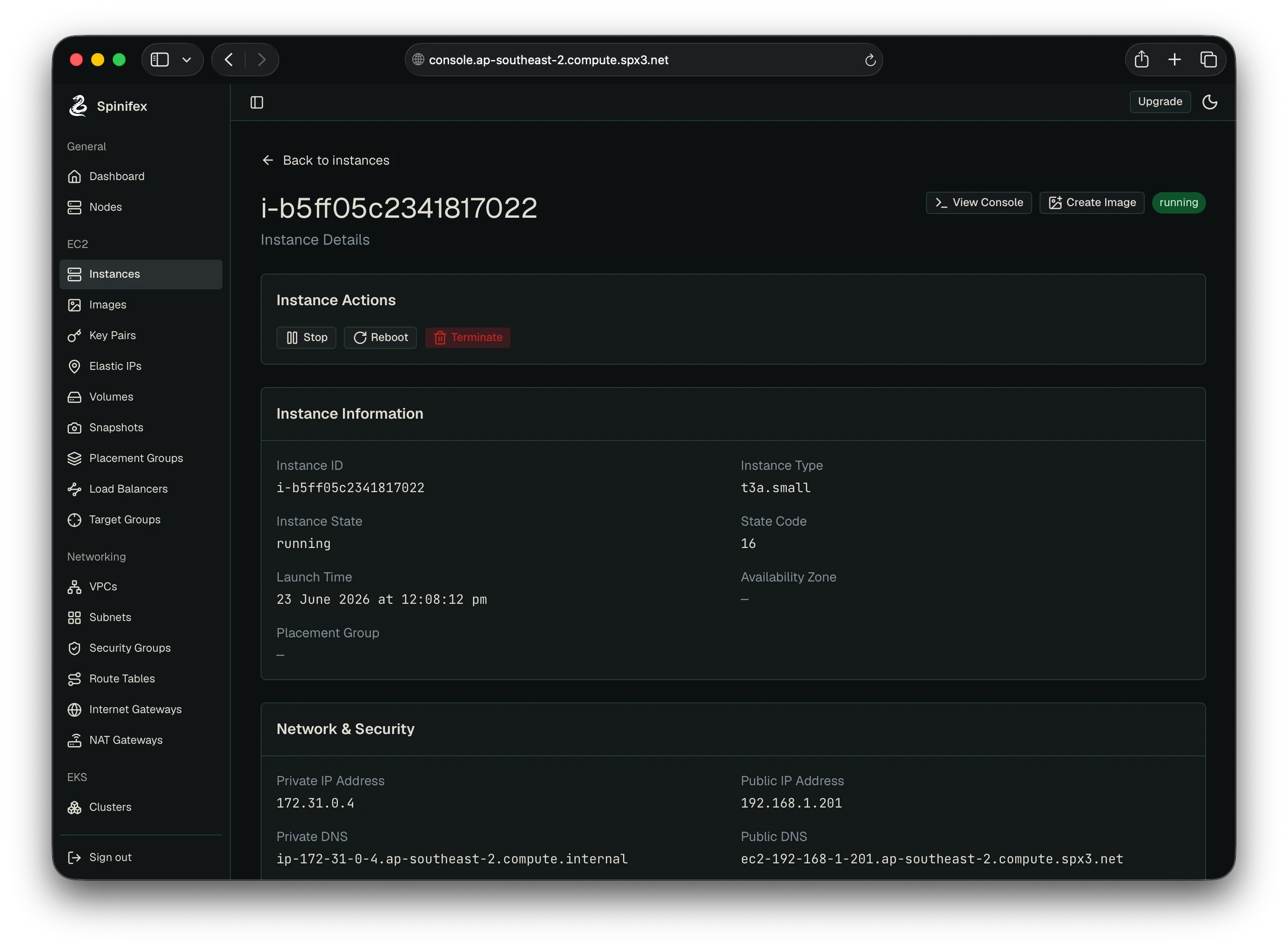 Spinifex console showing EC2 instance detail running on a self-hosted Spinifex cloud